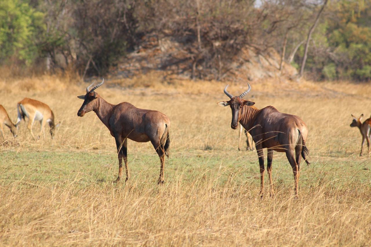 Chaminuka Lodge Lusaka Ngoại thất bức ảnh