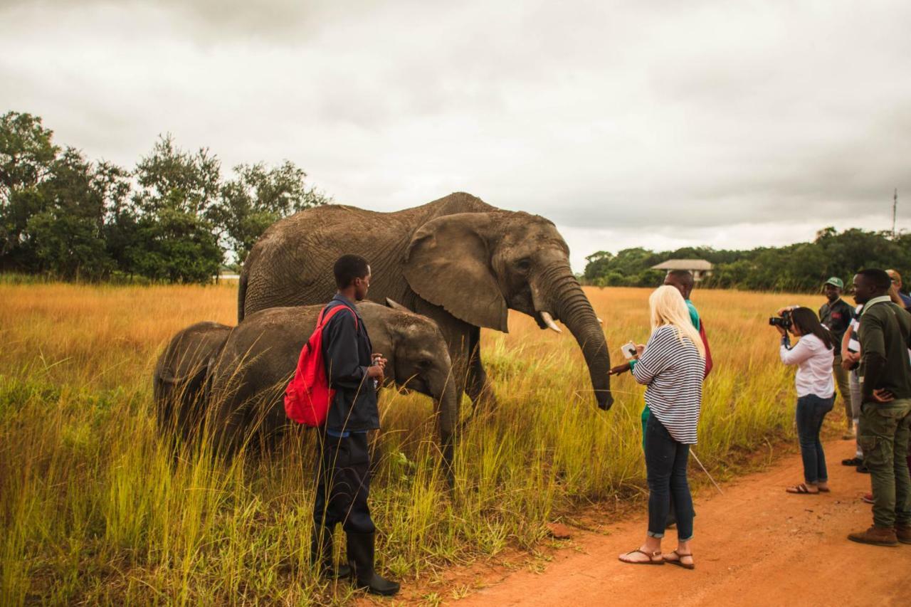 Chaminuka Lodge Lusaka Ngoại thất bức ảnh